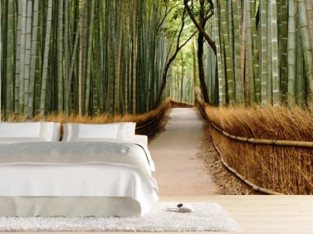 фотообои увеличивающие пространство